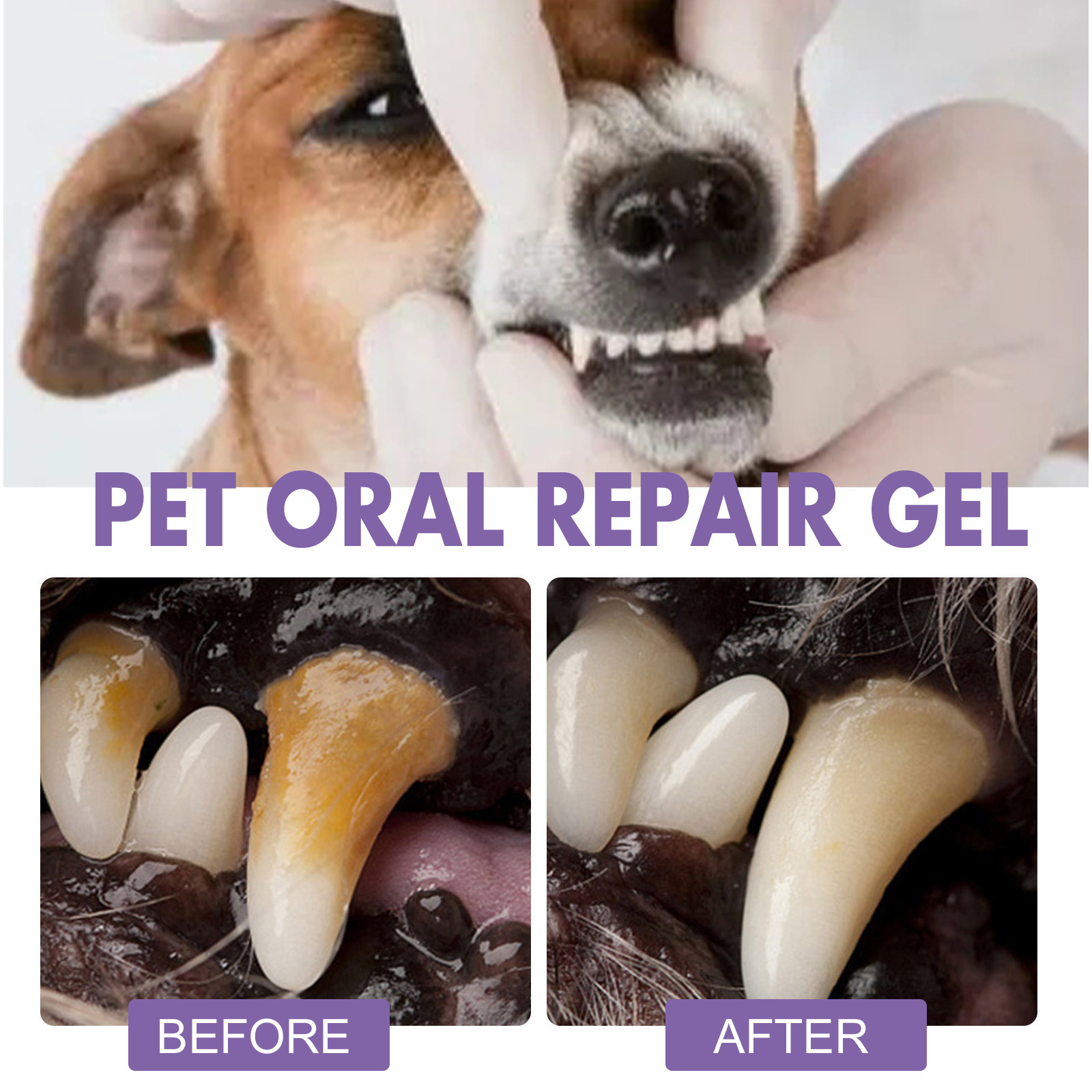 Pet Oral Repair Gel Puppy Tart – Teeth Whitening Ai Bewertung und Preis